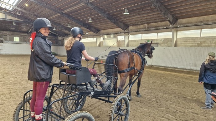 Students on horse and carriage in an arena