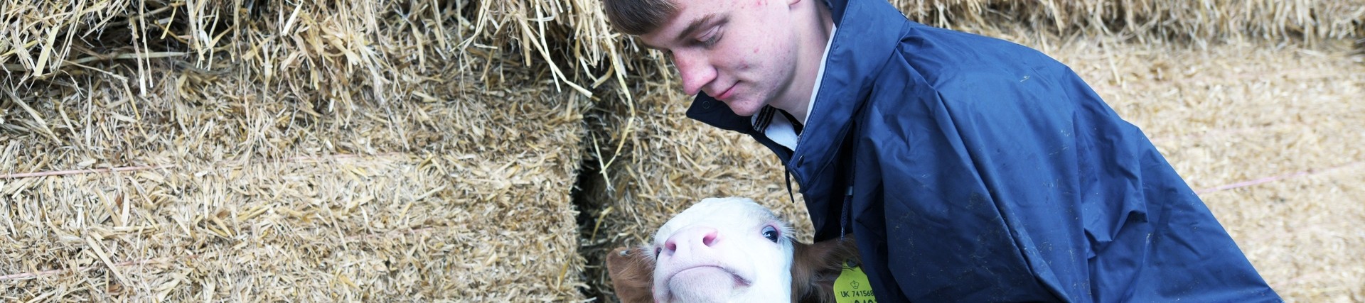 A student with a calf.