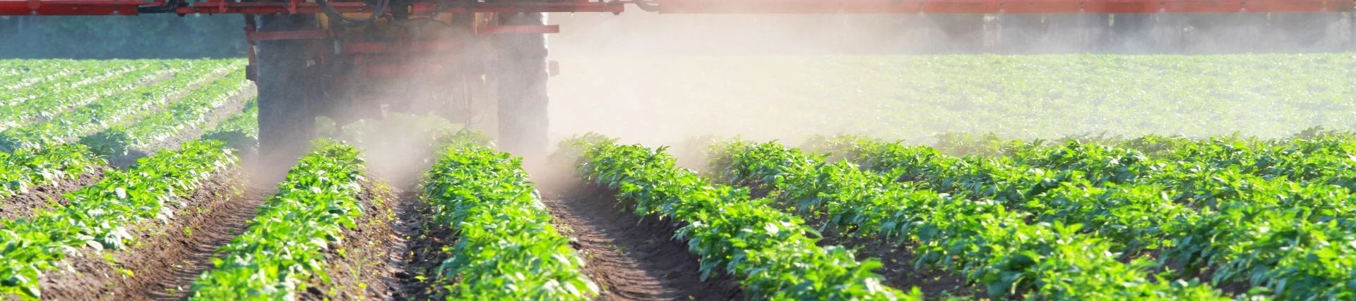 Rear shot of a tractor spreading pesticides on a crop field