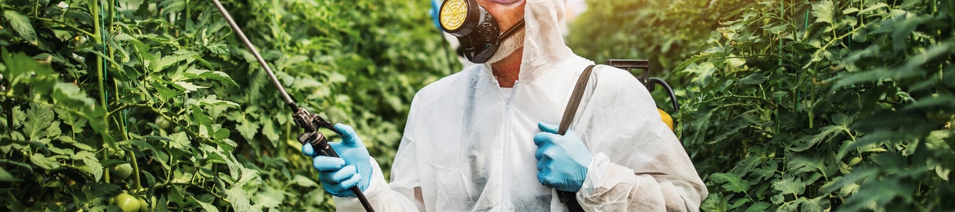 Person wearing PPE spraying crops with hand-held pesticide sprayer