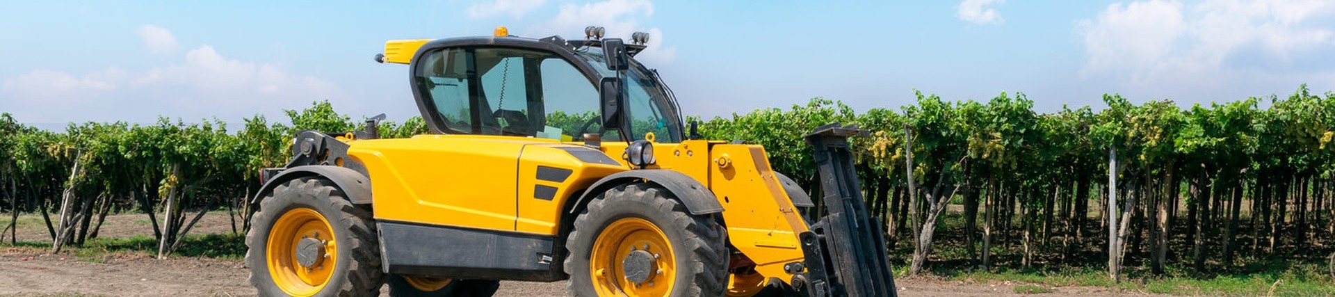 Forklift loader of yellow color in a field on a vineyard background