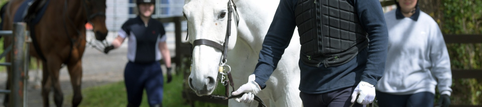 two students leading horses